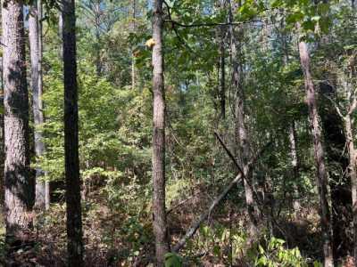 Residential Land For Sale in 