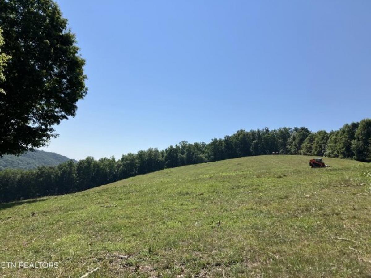 Picture of Residential Land For Sale in New Tazewell, Tennessee, United States