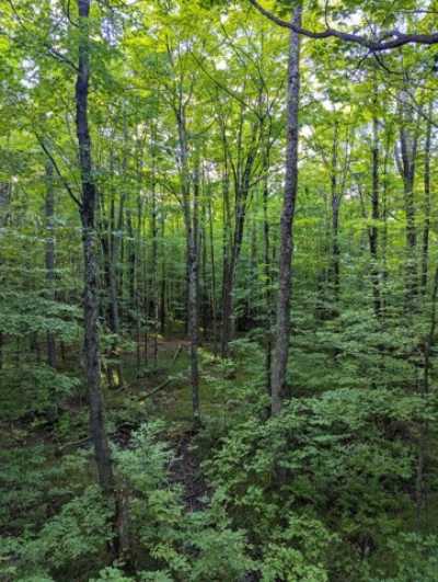 Residential Land For Sale in Brantwood, Wisconsin