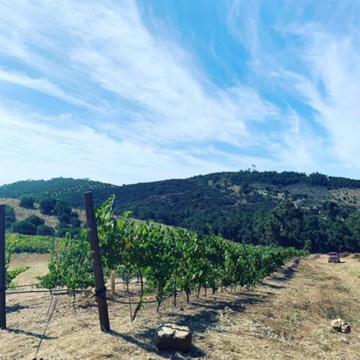 Picture of Residential Land For Sale in Valley Center, California, United States