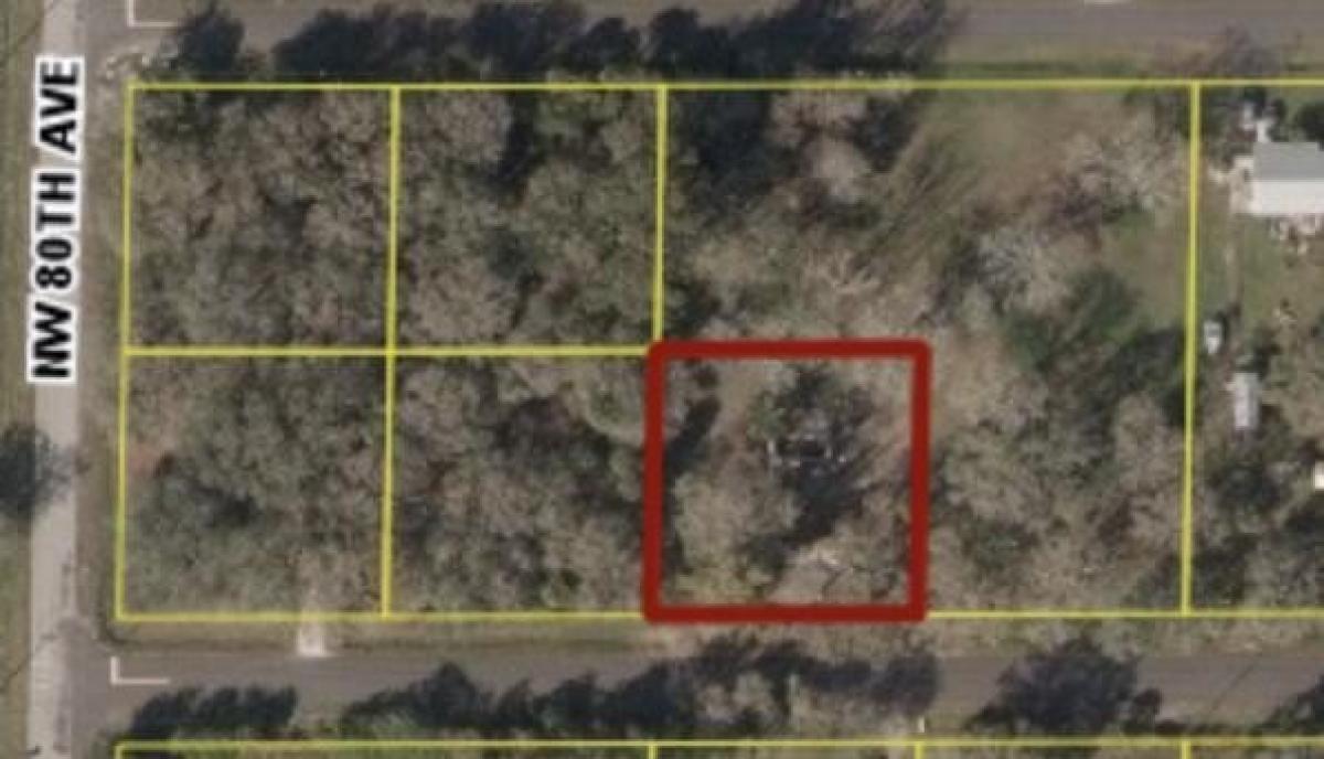 Picture of Residential Land For Sale in Okeechobee, Florida, United States