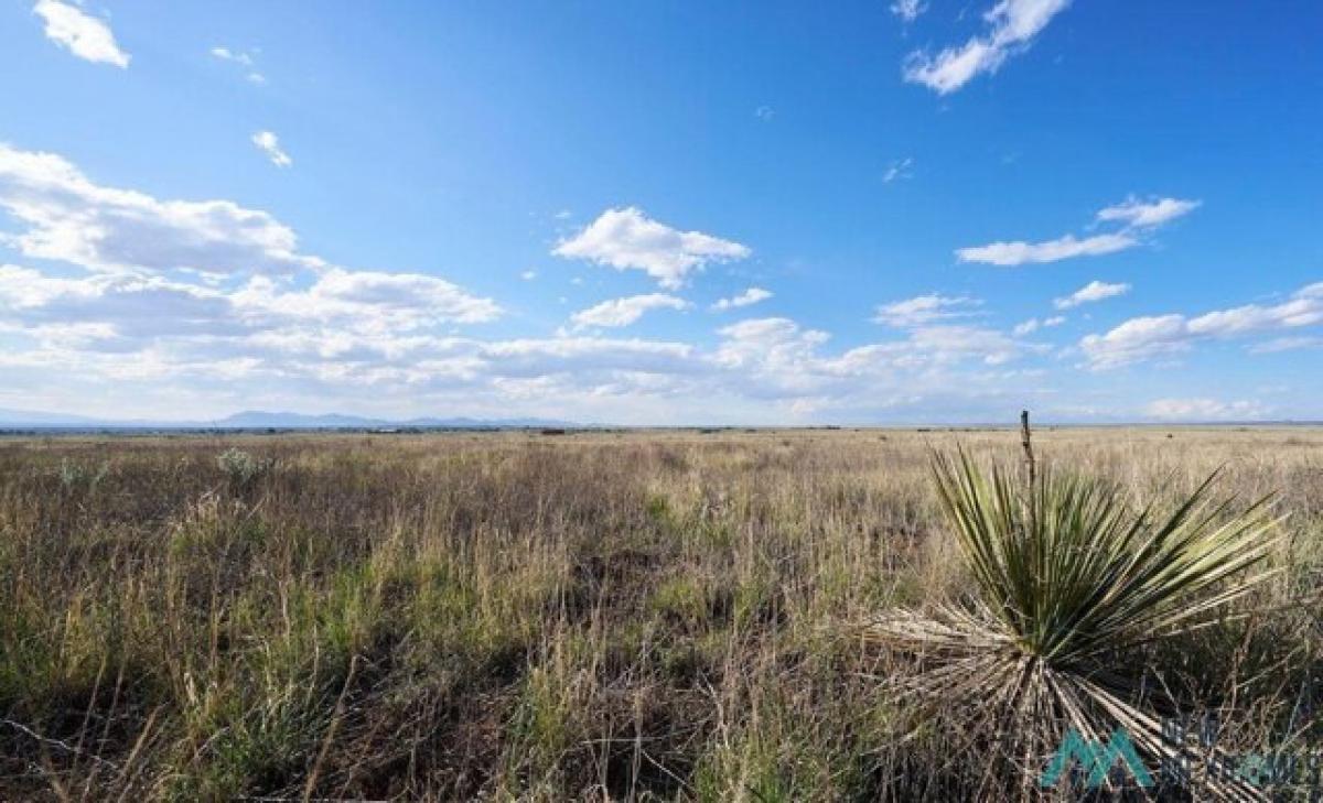 Picture of Residential Land For Sale in Moriarty, New Mexico, United States