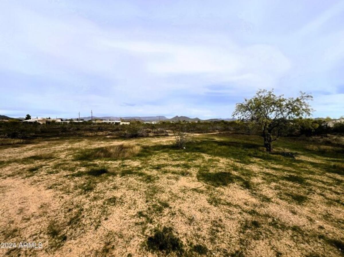 Picture of Residential Land For Sale in Phoenix, Arizona, United States