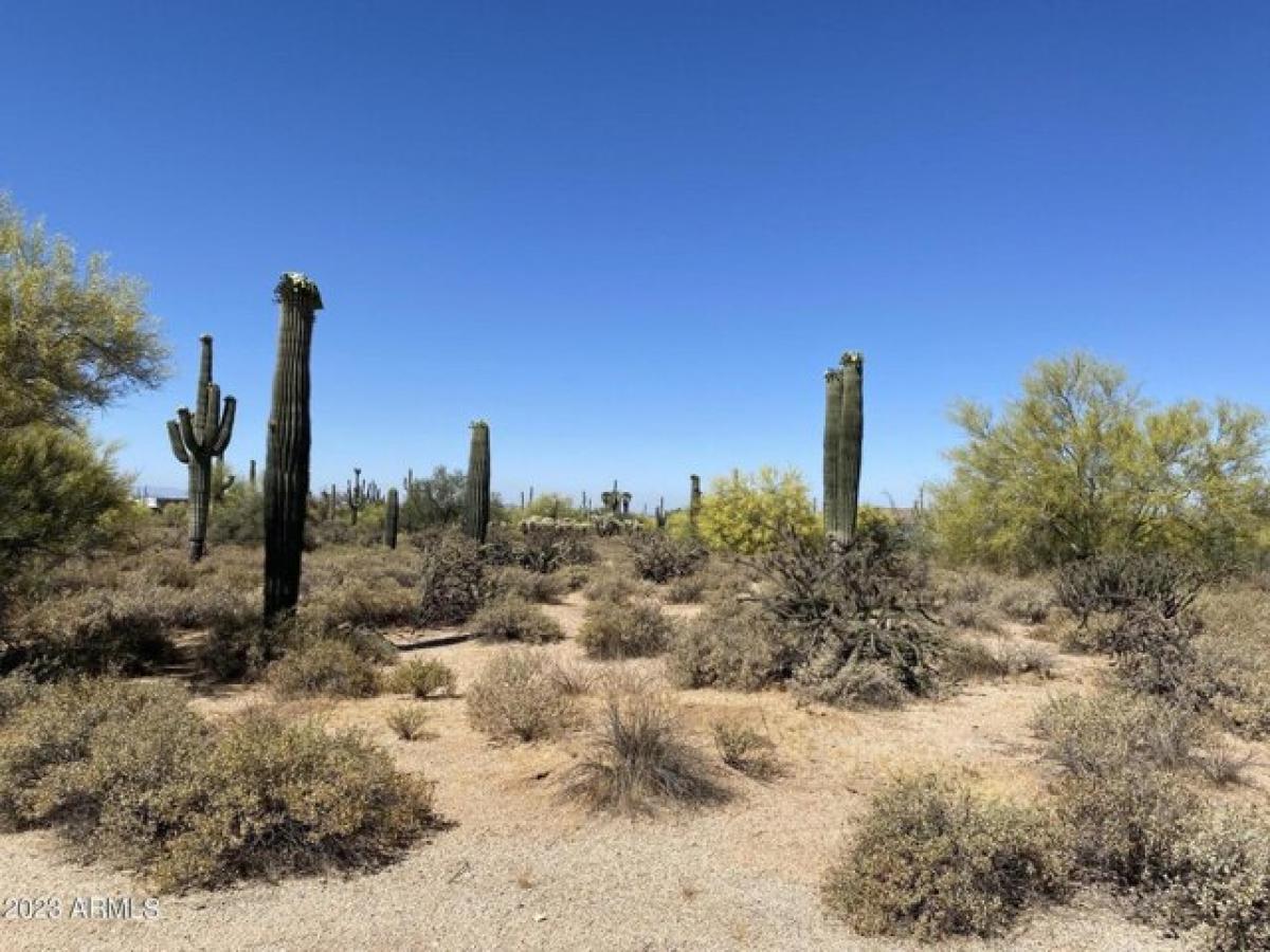 Picture of Residential Land For Sale in Scottsdale, Arizona, United States