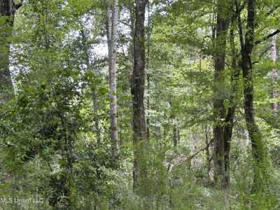 Residential Land For Sale in Terry, Mississippi