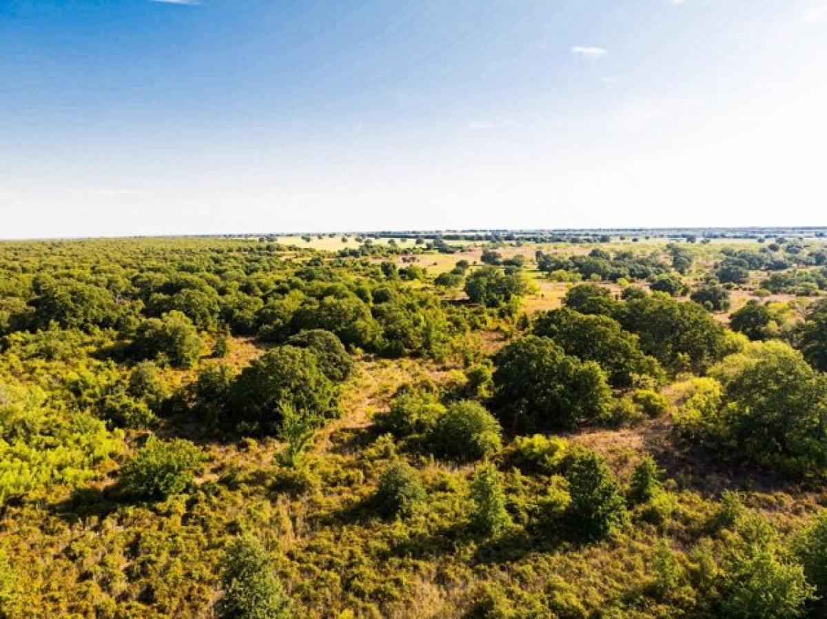 Picture of Residential Land For Sale in Comanche, Texas, United States