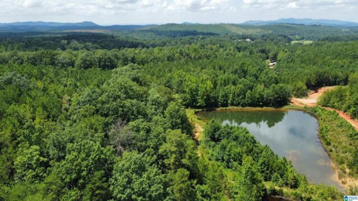 Picture of Residential Land For Sale in Piedmont, Alabama, United States