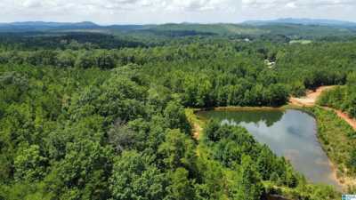 Residential Land For Sale in Piedmont, Alabama