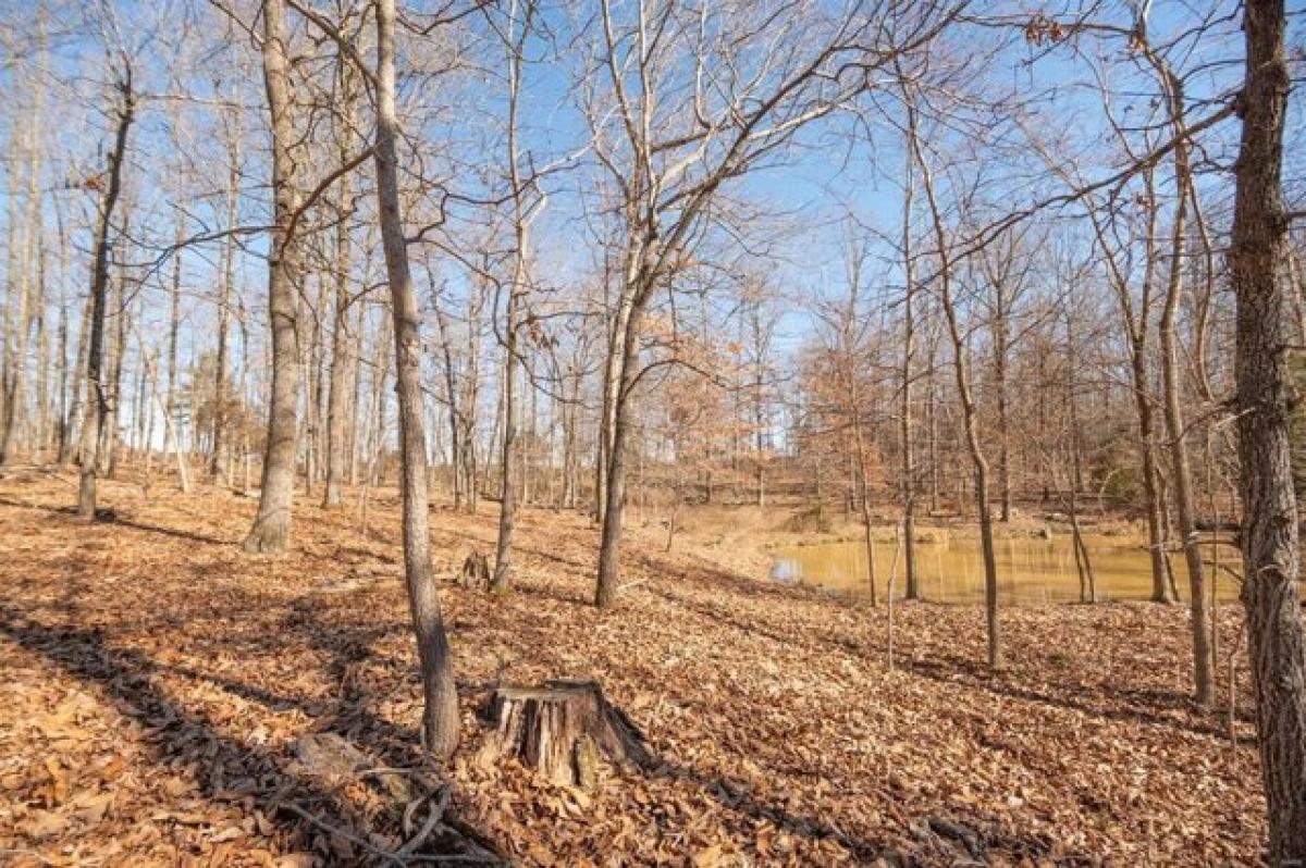 Picture of Residential Land For Sale in Doniphan, Missouri, United States