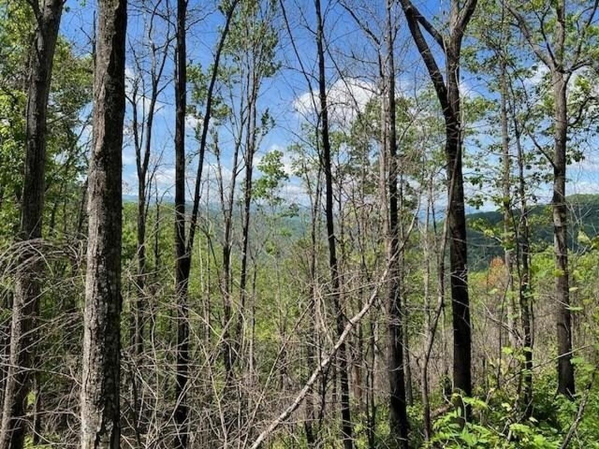 Picture of Residential Land For Sale in Bryson City, North Carolina, United States