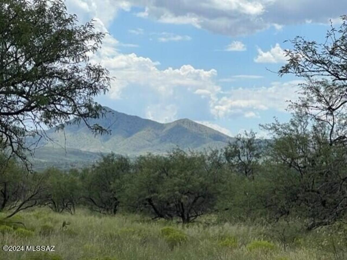 Picture of Residential Land For Sale in Arivaca, Arizona, United States