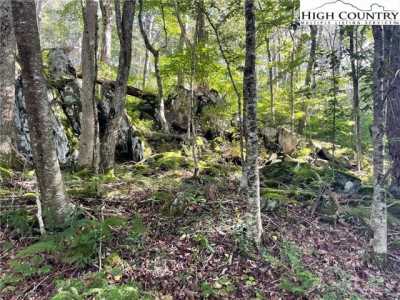 Residential Land For Sale in Todd, North Carolina