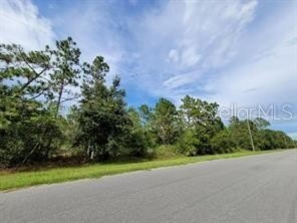 Picture of Residential Land For Sale in Orlando, Florida, United States