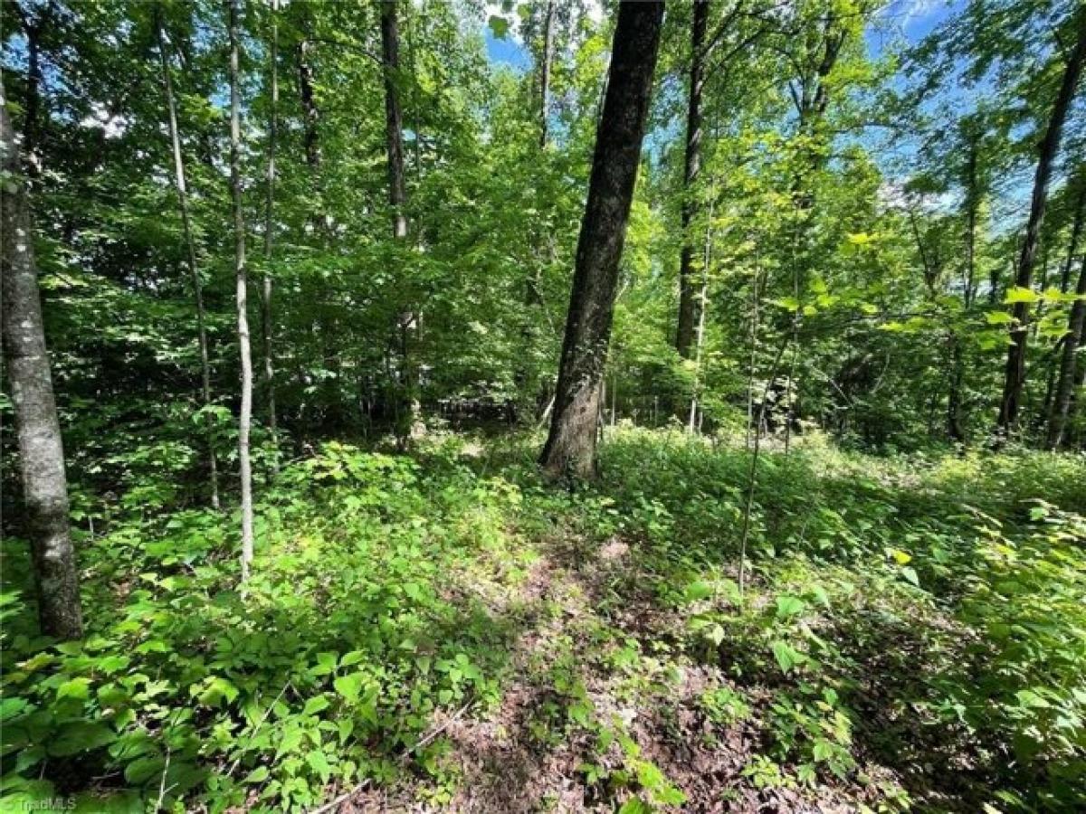 Picture of Residential Land For Sale in Moravian Falls, North Carolina, United States