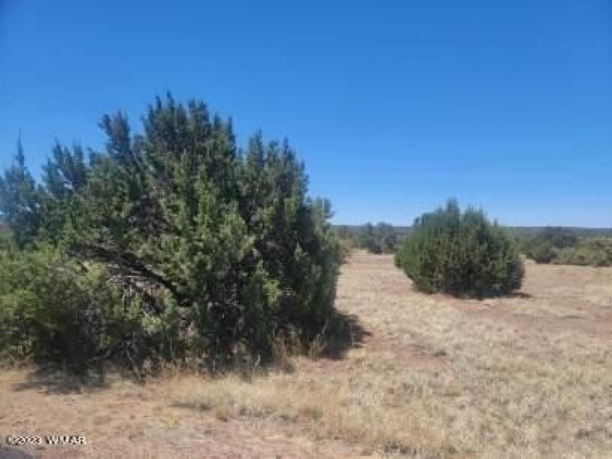 Picture of Residential Land For Sale in Show Low, Arizona, United States