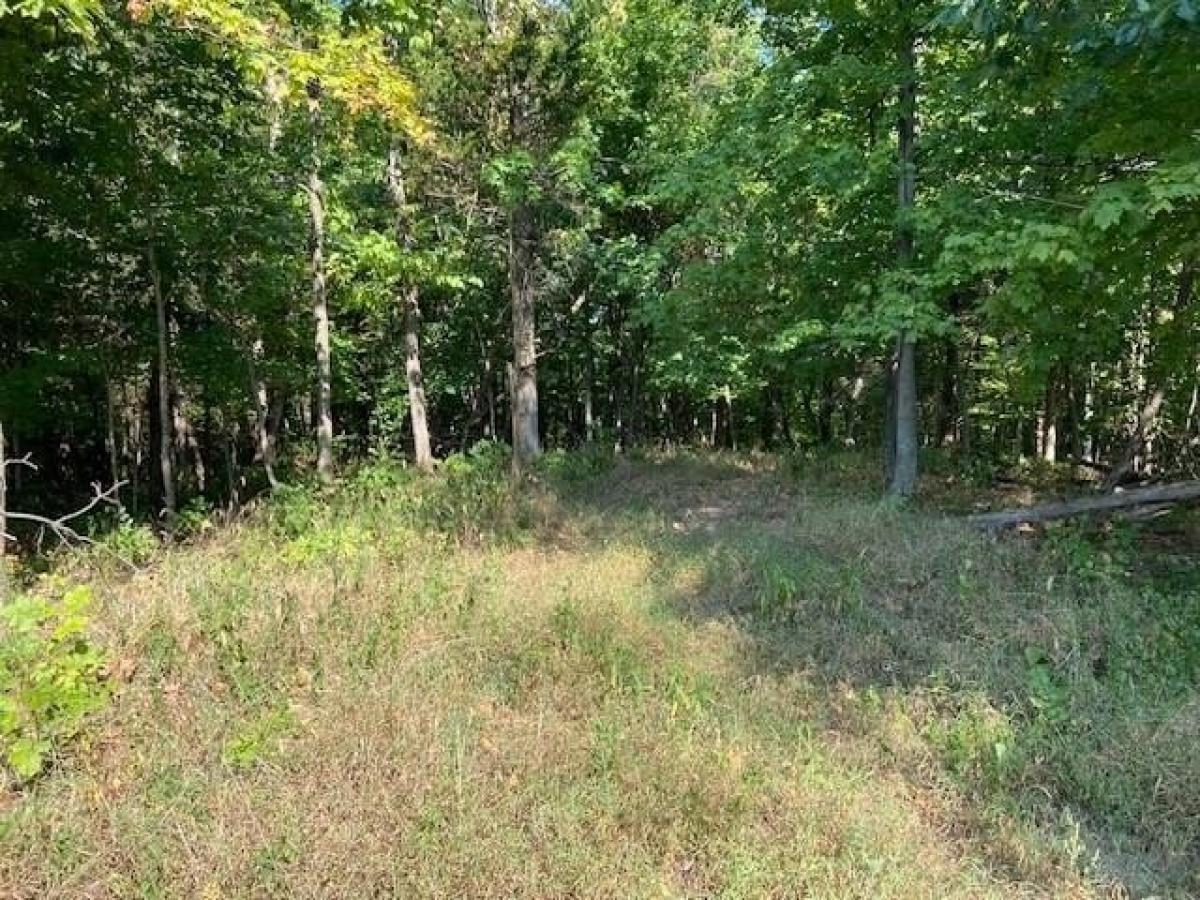 Picture of Residential Land For Sale in Mount Olivet, Kentucky, United States