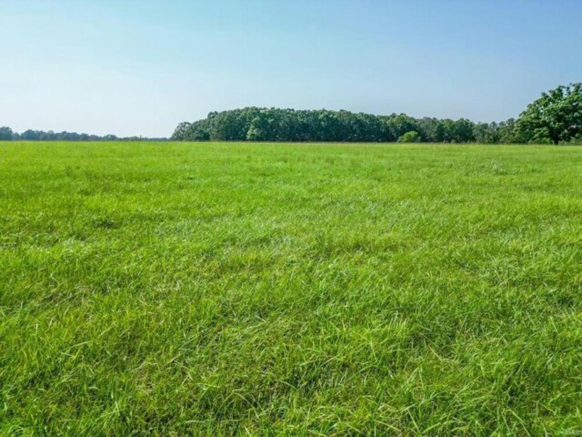 Picture of Residential Land For Sale in Lebanon, Missouri, United States