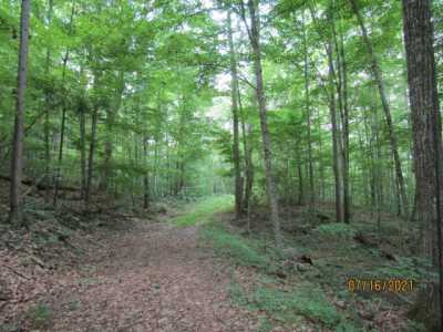 Residential Land For Sale in 