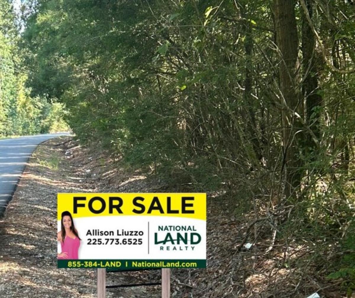 Picture of Residential Land For Sale in Livingston, Louisiana, United States