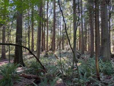 Residential Land For Sale in Point Roberts, Washington