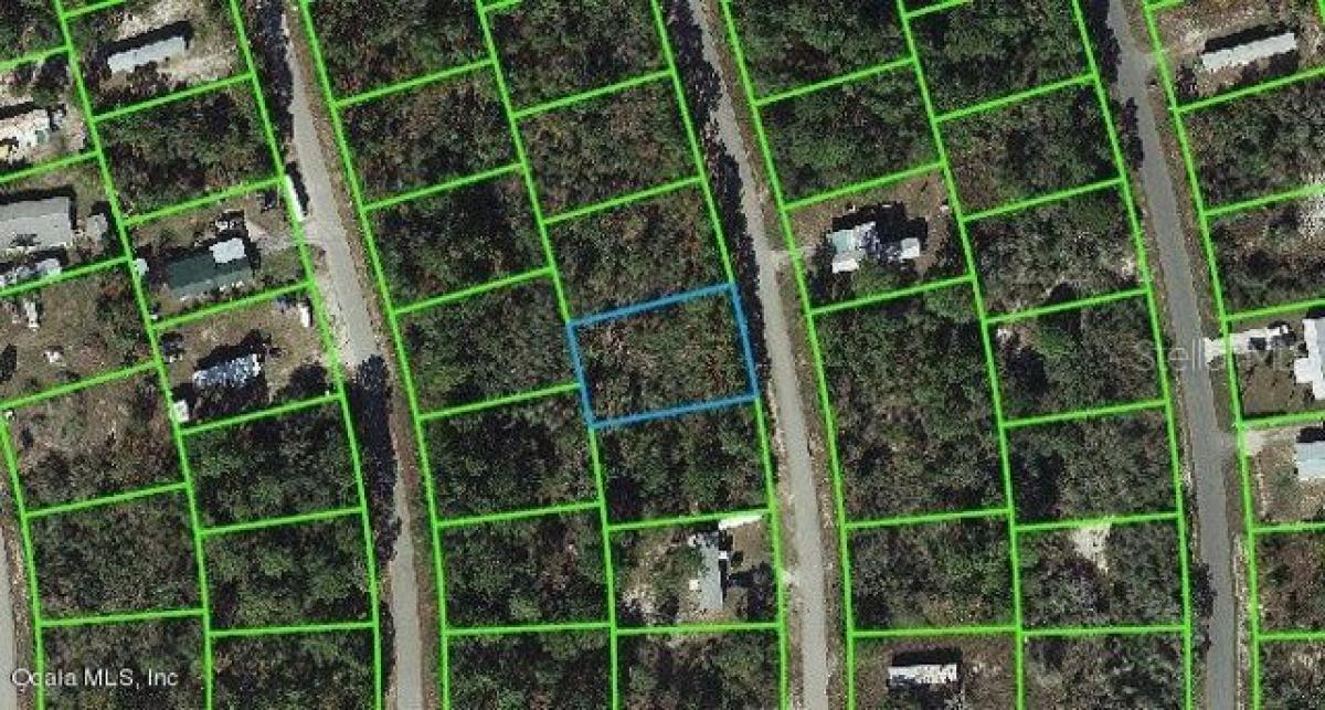 Picture of Residential Land For Sale in Lake Placid, Florida, United States