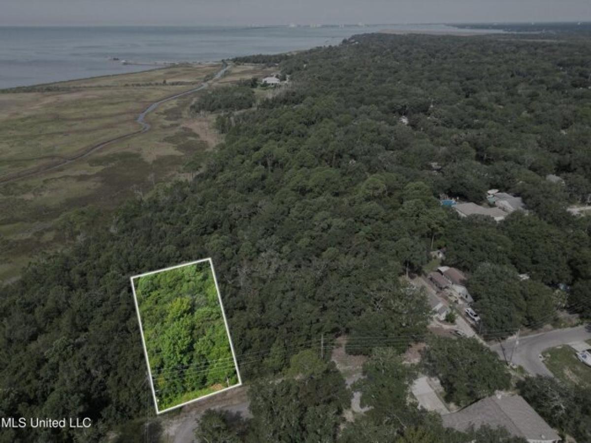 Picture of Residential Land For Sale in Ocean Springs, Mississippi, United States