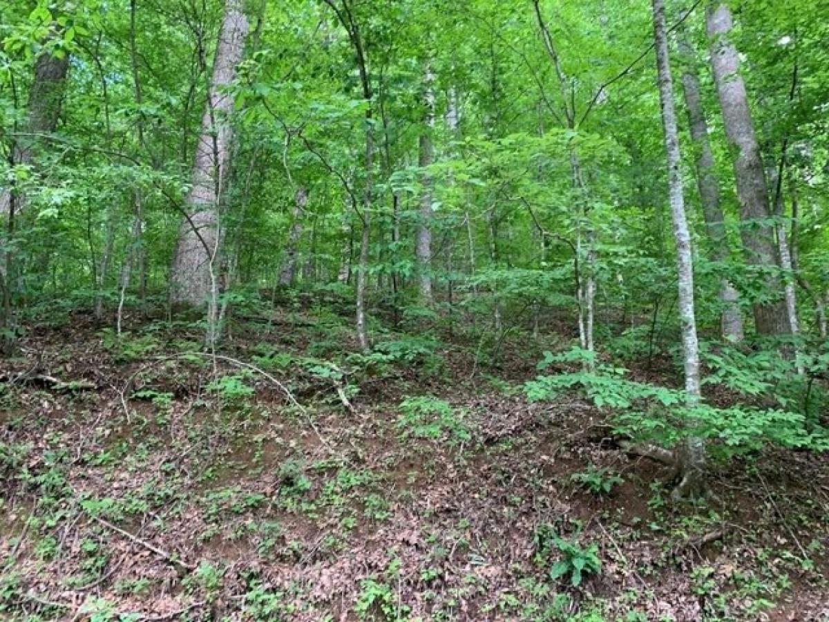 Picture of Residential Land For Sale in Hiawassee, Georgia, United States