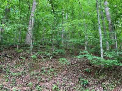 Residential Land For Sale in Hiawassee, Georgia