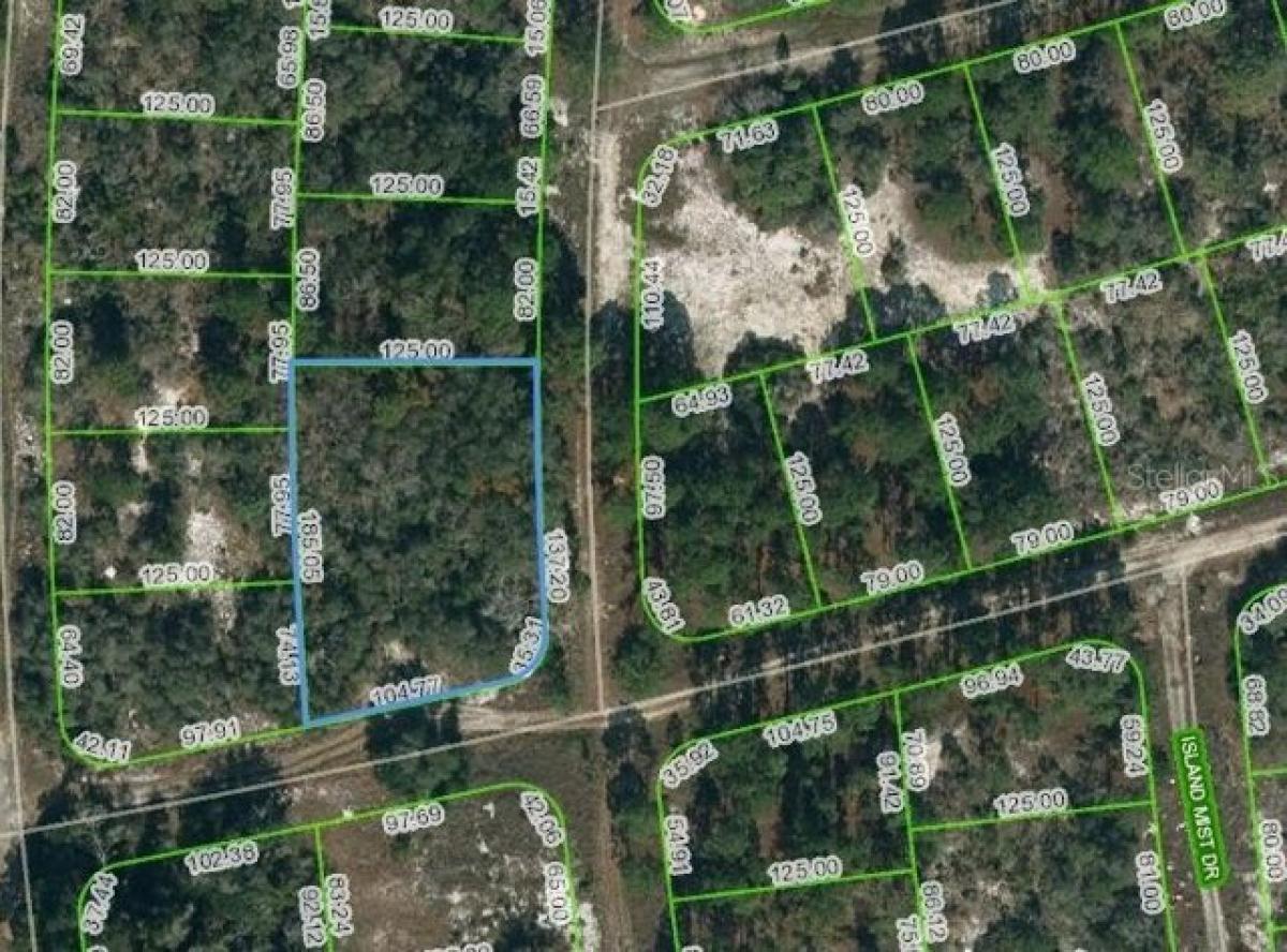 Picture of Residential Land For Sale in Lake Placid, Florida, United States