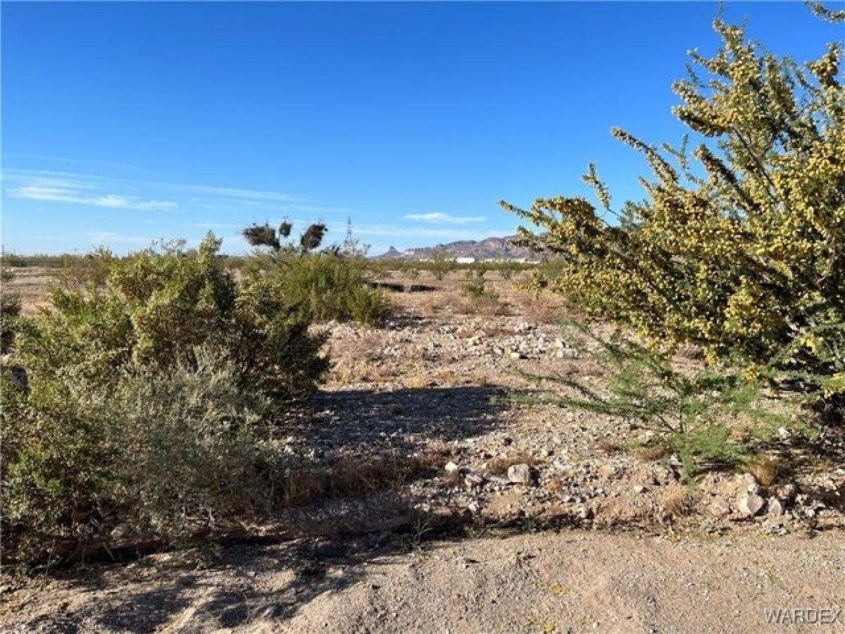 Picture of Residential Land For Sale in Golden Valley, Arizona, United States