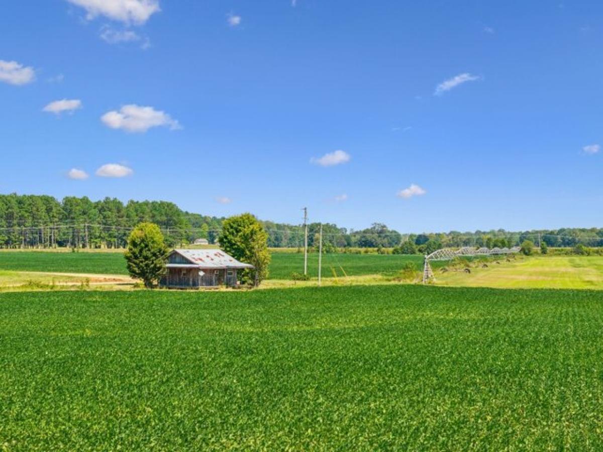 Picture of Residential Land For Sale in Stantonville, Tennessee, United States