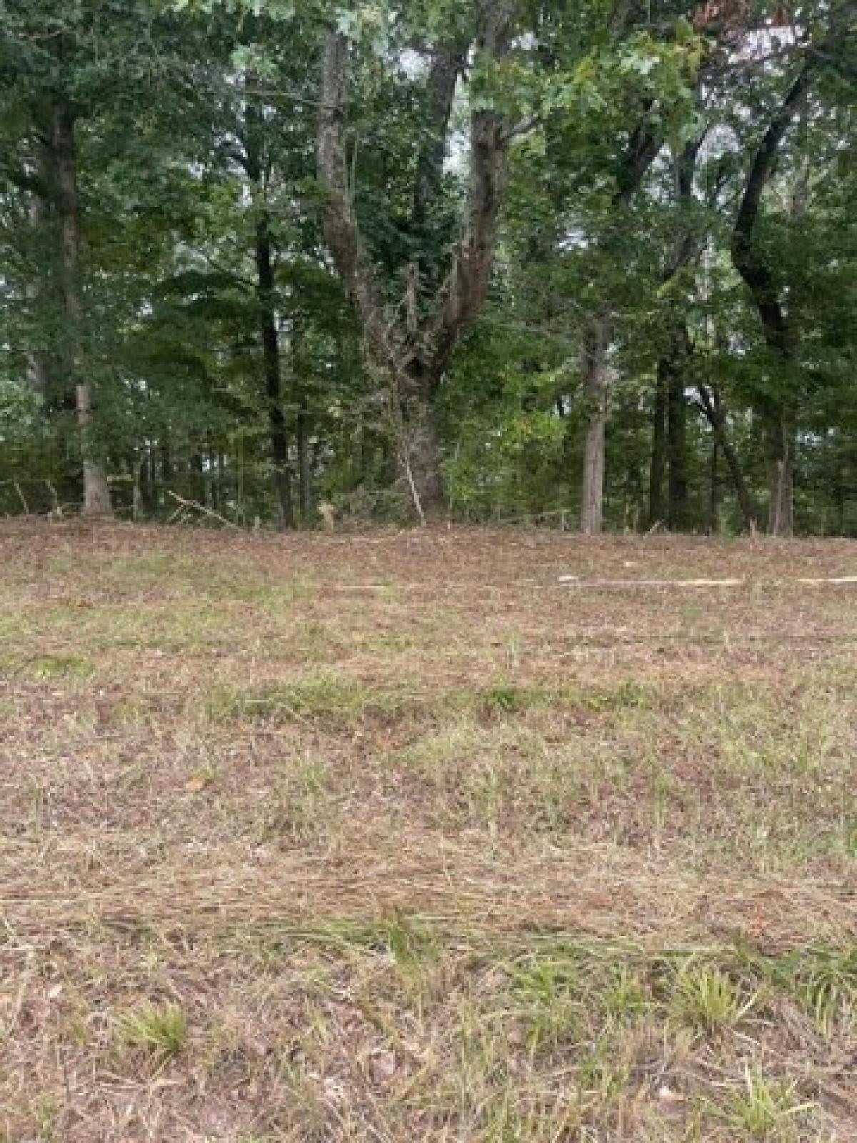 Picture of Residential Land For Sale in Chuckey, Tennessee, United States