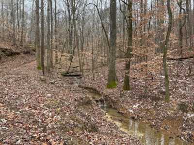 Residential Land For Sale in Bremen, Alabama