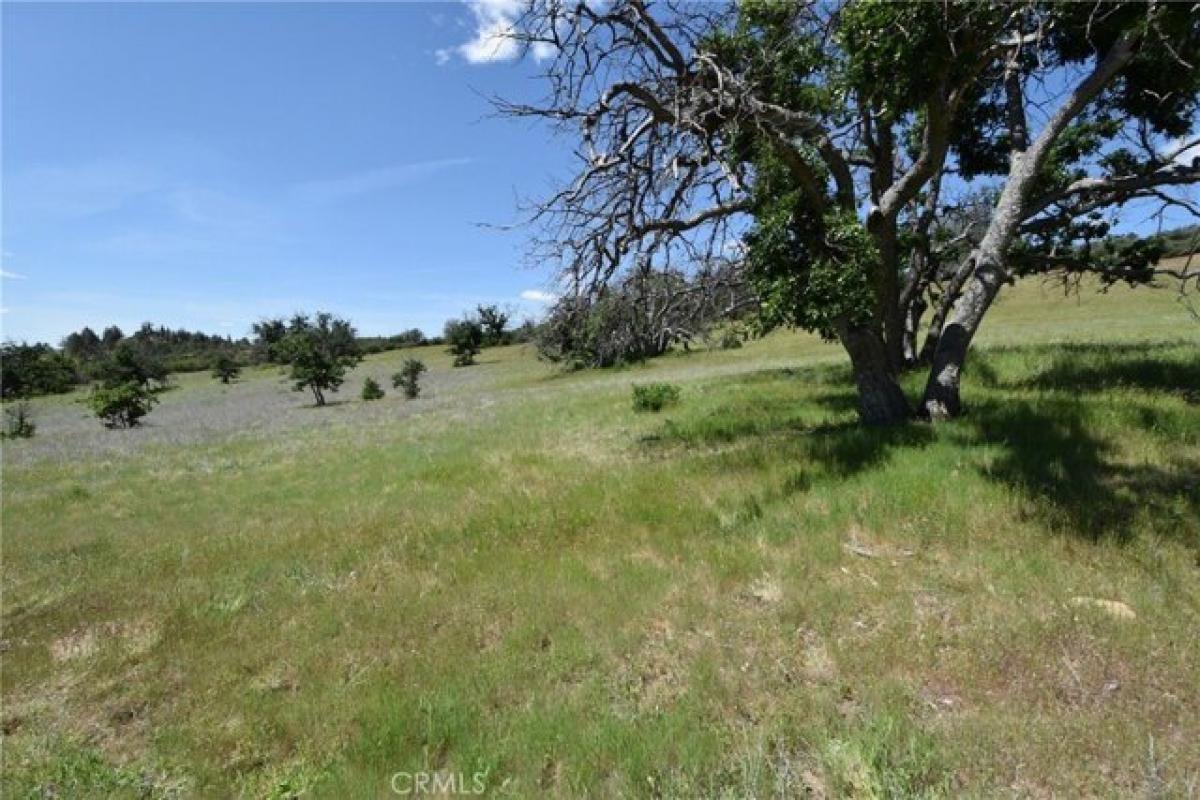 Picture of Residential Land For Sale in Hornbrook, California, United States