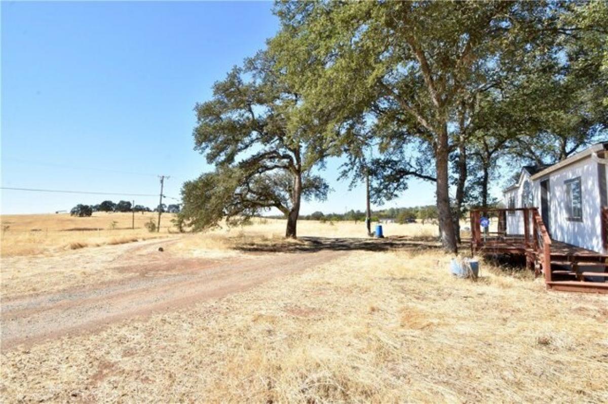 Picture of Home For Sale in Oroville, California, United States