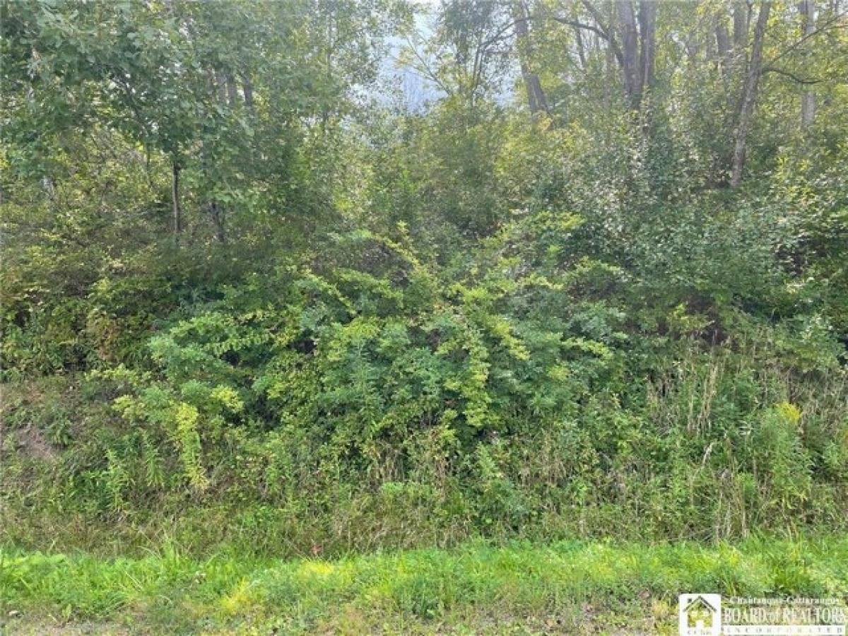 Picture of Residential Land For Sale in Olean, New York, United States