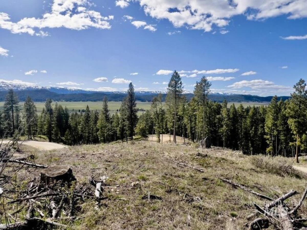 Picture of Residential Land For Sale in Cascade, Idaho, United States