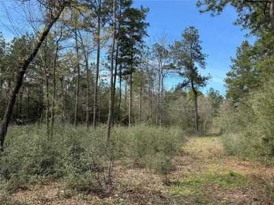 Residential Land For Sale in Willis, Texas