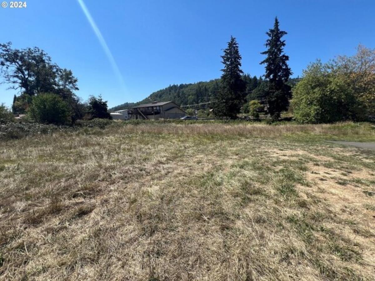 Picture of Residential Land For Sale in Winchester, Oregon, United States