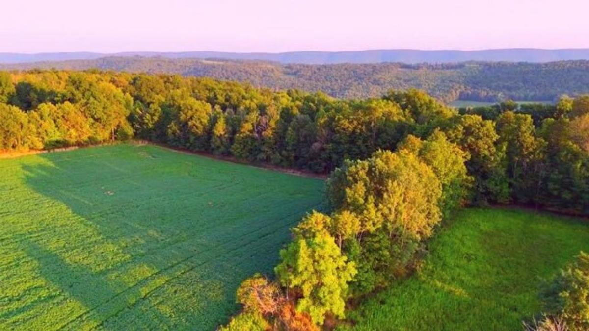 Picture of Home For Sale in Granville Summit, Pennsylvania, United States