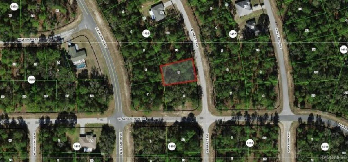 Picture of Residential Land For Sale in Citrus Springs, Florida, United States