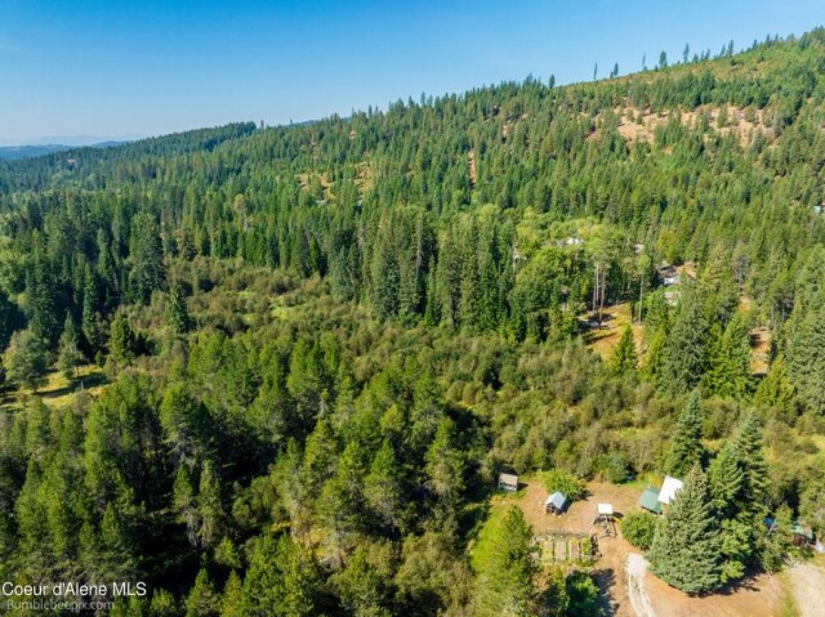 Picture of Residential Land For Sale in Careywood, Idaho, United States