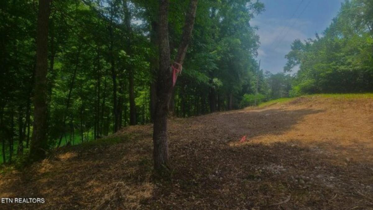 Picture of Residential Land For Sale in La Follette, Tennessee, United States