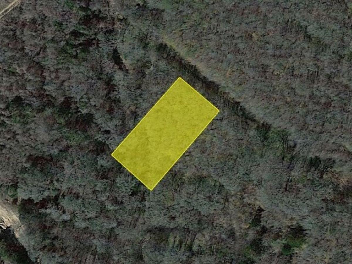 Picture of Residential Land For Sale in Bastrop, Texas, United States