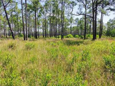 Residential Land For Sale in Coden, Alabama