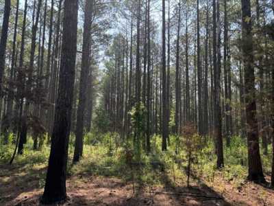 Residential Land For Sale in Okolona, Mississippi