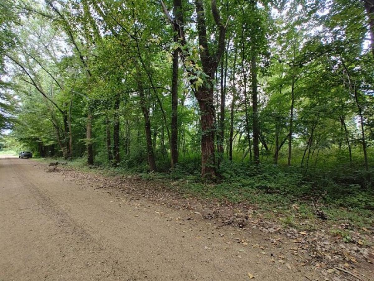 Picture of Residential Land For Sale in Benton Harbor, Michigan, United States