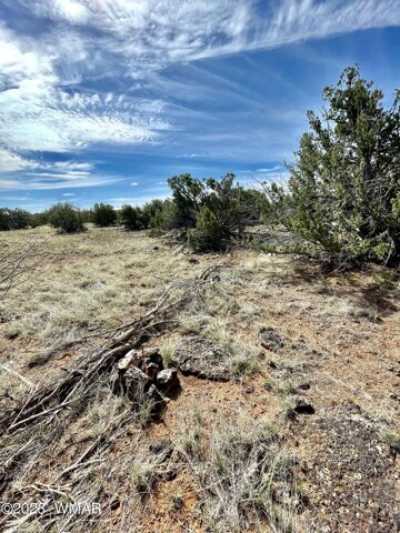 Residential Land For Sale in Concho, Arizona