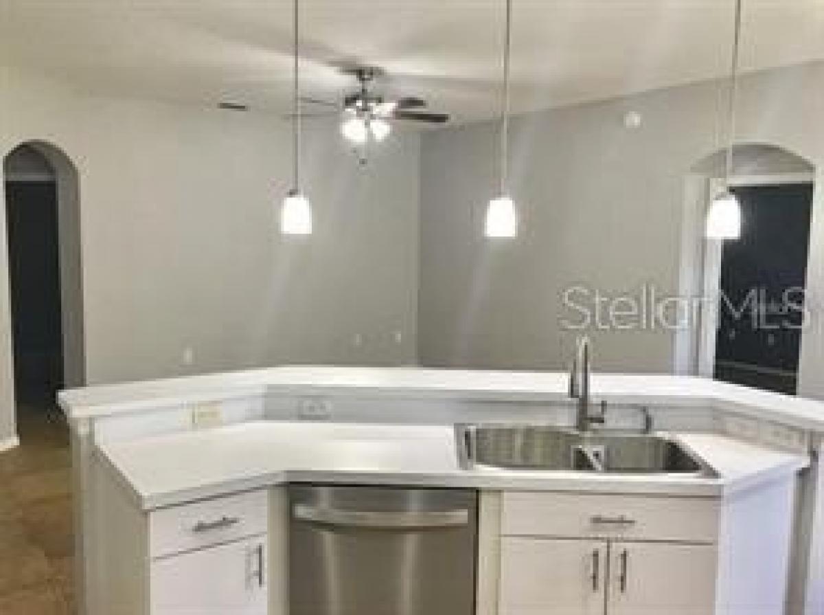 Picture of Home For Rent in Land O Lakes, Florida, United States