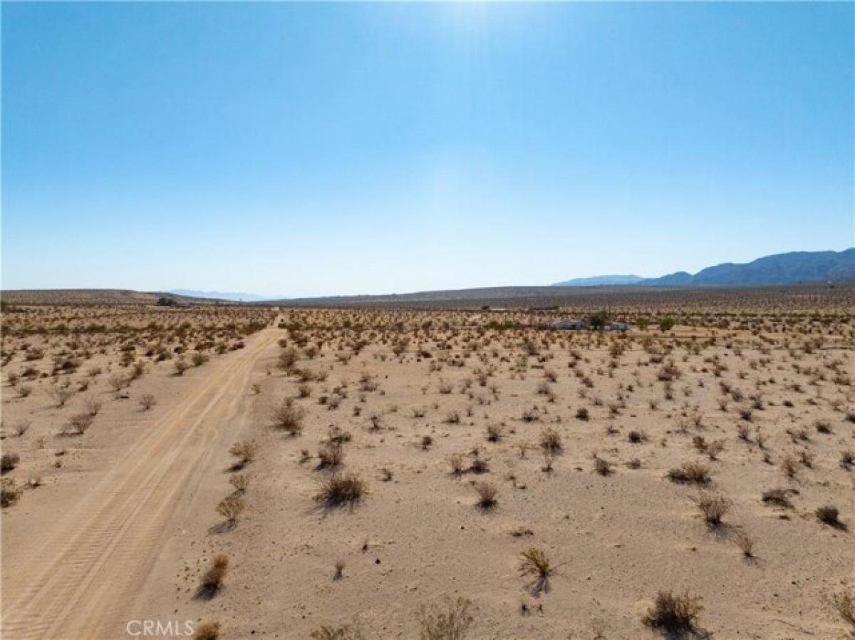 Picture of Residential Land For Sale in Twentynine Palms, California, United States